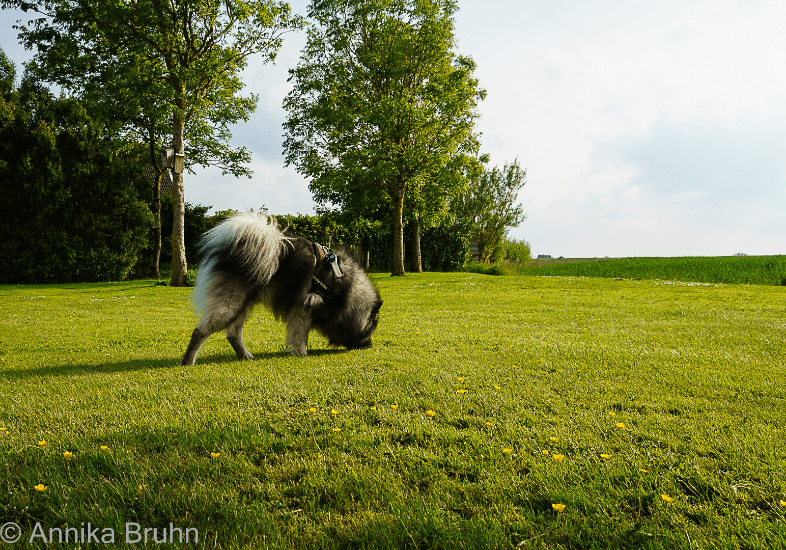 MH richt das hier gut!